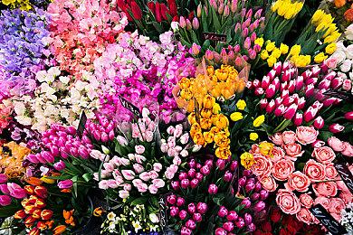 《真三国无双：起源》甘宁和庞统介绍 甘宁更成熟了